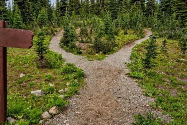 pexels-souvenirpixels-1578750-600