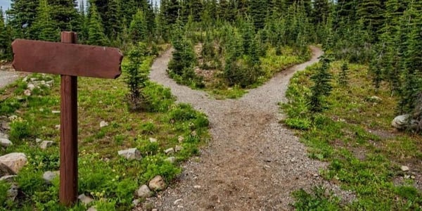 pexels-souvenirpixels-1578750-600