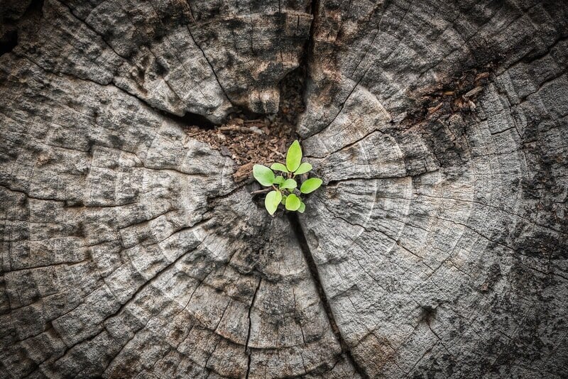 Lead Through Uncertainty Your Nonprofit Can Adapt Amid Funding Cuts-Sm